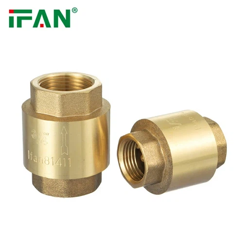 Brass Check Valve 2 Brass Check Valve 2